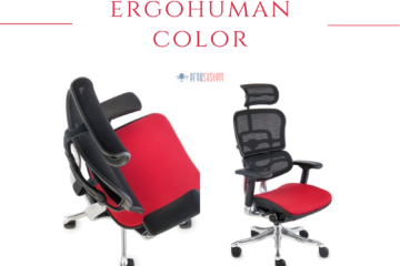 Krzesła i fotele biurowe Ergohuman Color Grospol - Grospol - Fotele i krzesła biurowe